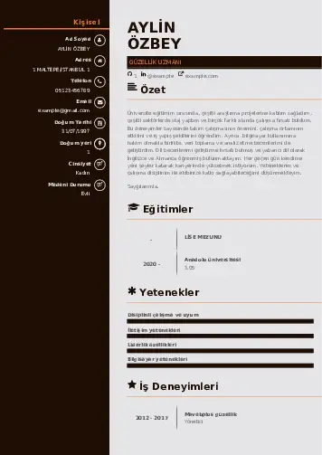 Güzellik Uzmanı Cv Örnekleri  cv indir